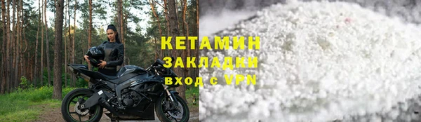 шишки Верея