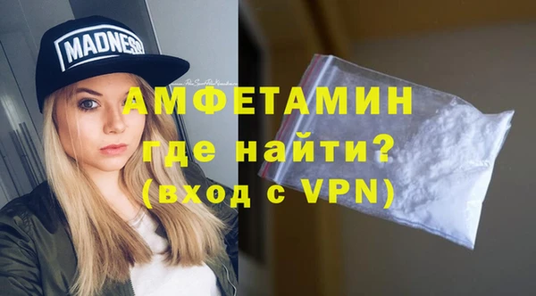 шишки Верея