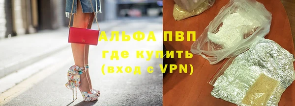 шишки Верея