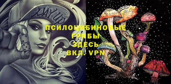 МДПВ Верхнеуральск