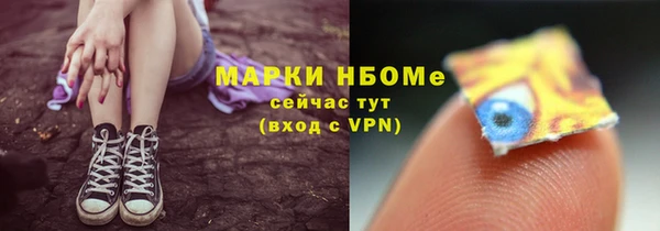 индика Бронницы