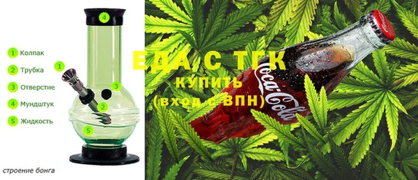 индика Бронницы