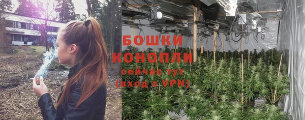 apvp Богородск