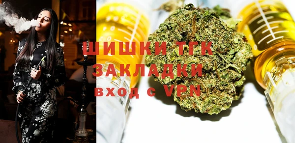 шишки Верея