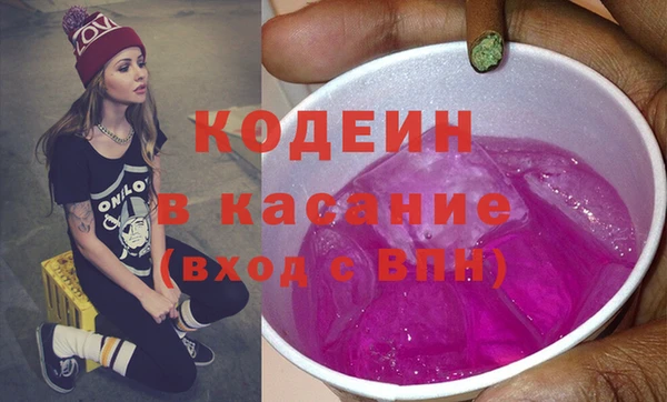 шишки Верея