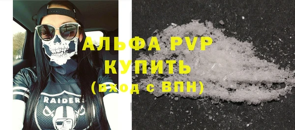 индика Бронницы