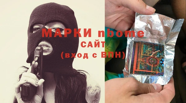 шишки Верея
