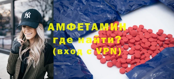 индика Бронницы