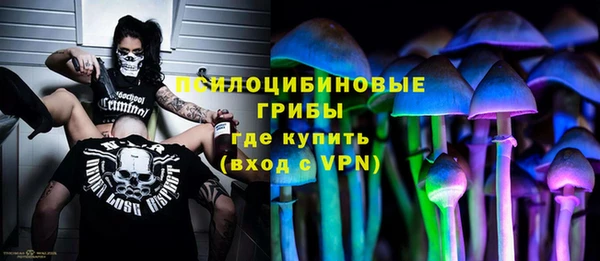 герыч Бородино