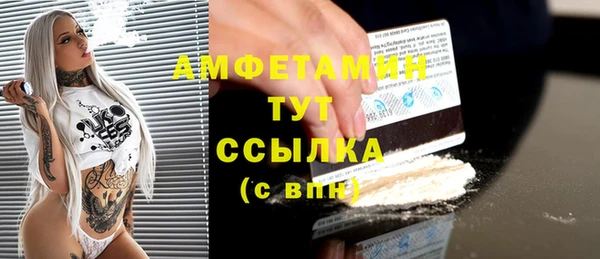 индика Бронницы
