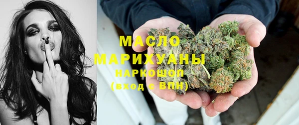 индика Бронницы